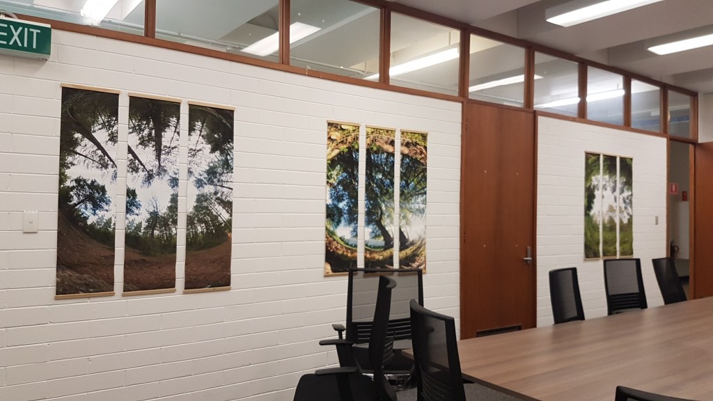 Earth to Sky at IAE