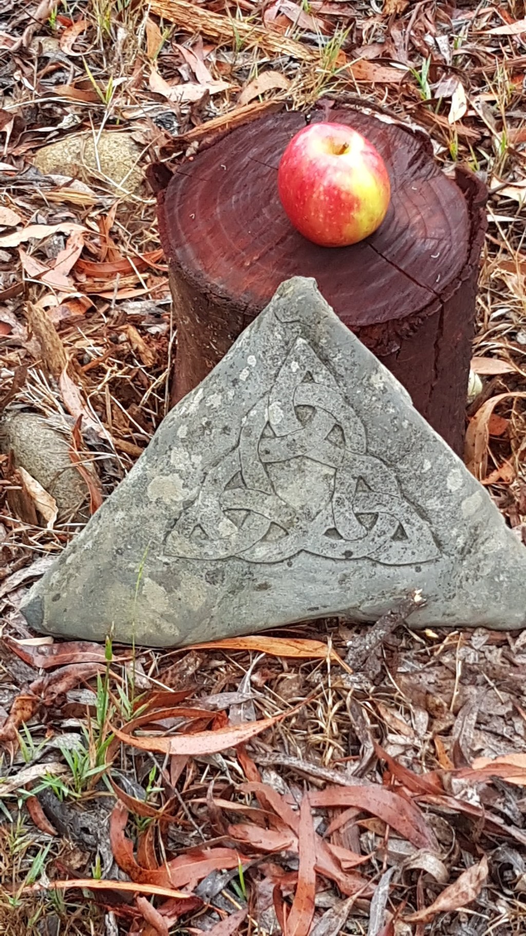 From the walking maze at Brahma Kumaris