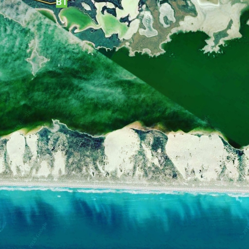 Coorong Coast by Tracey M Benson