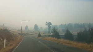 Bushfire smoke © Tracey M Benson 2019