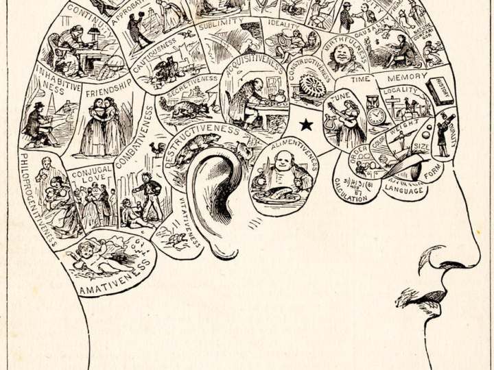 Phrenology map