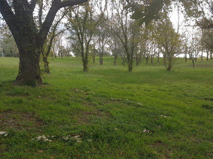 Ginninderry Creek Walk