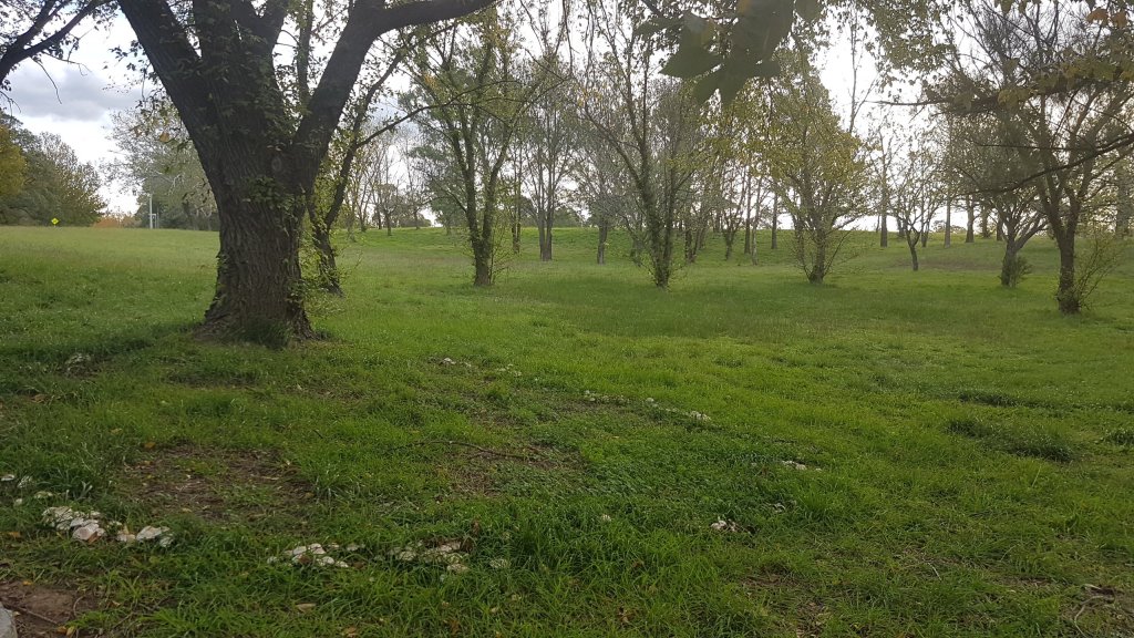 Ginninderry Creek Walk