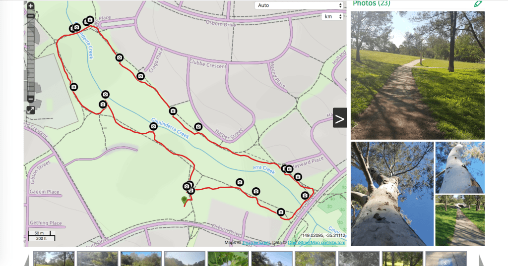 Urban Tree Walks - Ginninderra Creek track from View Ranger