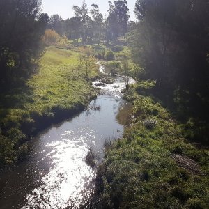 Ginninderra Creek
