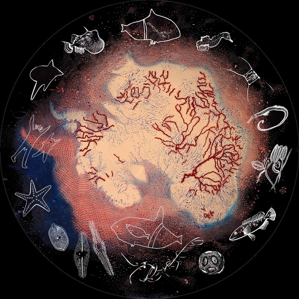 Australian Indigenous perspectives and Antarctic science Infographic by Lisa Roberts and Katherina Petrou, 2020 WHAT IS YOUR PERSPECTIVE?