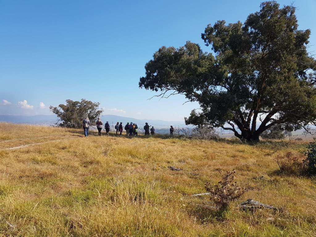 Upcoming walks | CBR Tree Week and Ginninderry