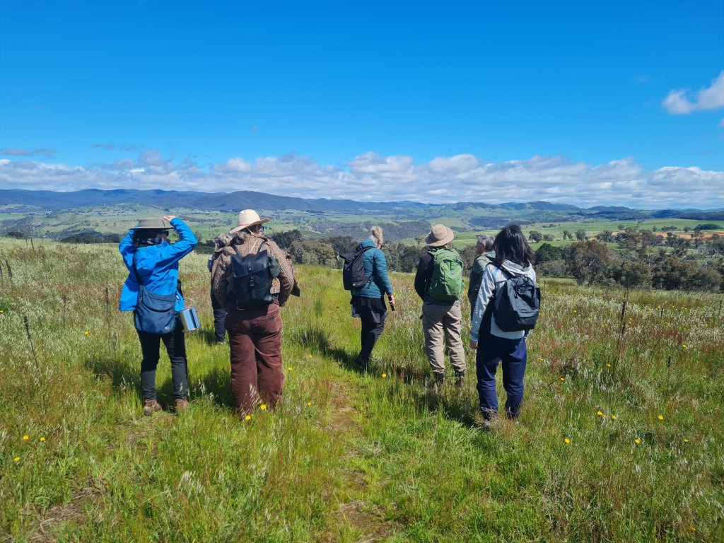 Wild and Windy at Ginninderry