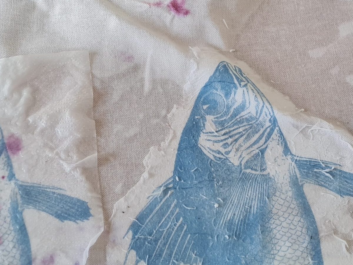 Drammen AiR Update&nbsp;#5